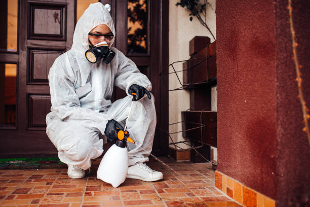Reliable Cockroach Control contractor in Laplace, LA by Nex Pest Control