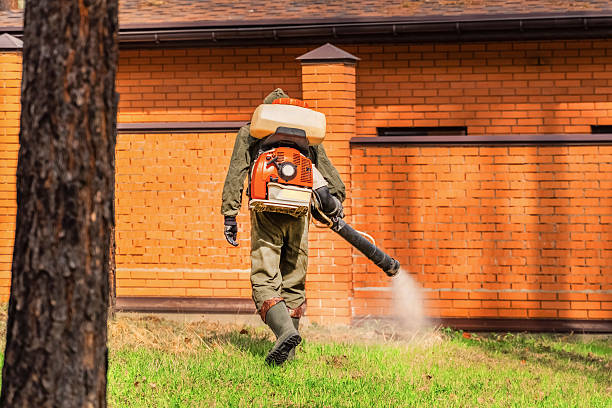 Trusted Cockroach Control service in Laplace, LA - Nex Pest Control